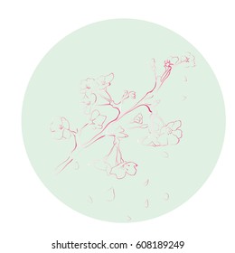 Flower blooming tree branch vector outline illustration
spring, asian