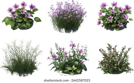 Flower blooms naturally growing, vector illustrations set, transparent backgrounds format, fresh floral artwork, blooming nature graphics, spring flower design