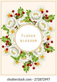 Flower blossom. Abstract flower background with place for your text.