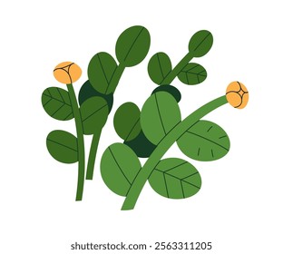 Flower blossom. Beautiful floral plants with blooming buds, leaf, stem. Spring and summer garden decoration. Field wildflowers, leaves. Botanical flat vector illustration isolated on white background