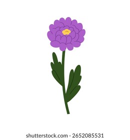 Flor. Planta floral Flor de jardim de verão. Dahlia tronco, galho com pétalas delicadas, centro amarelo, folhas. Decoração da natureza. Ilustração vetorial plana botânica isolada sobre fundo branco