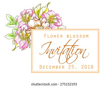 Flower blossom. Romantic botanical invitation. Greeting card with floral background.