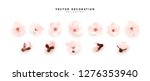 Flower blossom sakura. Design of realistic floral buds isolated on white background