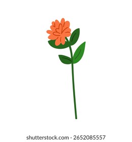 Flor. Flor de jardim de primavera. Delicado planta floral suave, caule, broto e folhas. Flora silvestre, decoração da natureza. Ilustração vetorial plana botânica isolada sobre fundo branco
