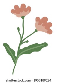 Flower in blossom, spring or summer season flourishing. Florist composition for shop or ecological packaging and production. Elegant seasonal botany blooming, feminine bouquet. Vector in flat style