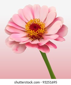 Flower blossom vector background