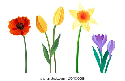 Flower Blossom Vector Illustrated Set Isolated On White Background