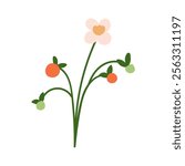 Flower, blossomed strawberry branch with berries and bloom. Summer wildflower, farm field fruits on stem. Garden plant. Botanical decoration. Flat vector illustration isolated on white background