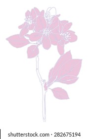 Flower - blossoming apple tree branch - vector drawing