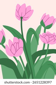 Flores flores, cartão de natureza jardim. Buquê de tulipa de primavera com botões floridos, pétalas lindas suaves, folhas. Fundo botânico, cartão postal de verão. Design de cartaz floral. Ilustração de vetor plano