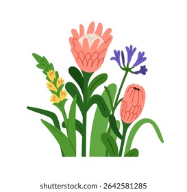 Flor flores misturam. Jardim floresce com folhas. Linda flora suave de verão, natureza. Plantas florais diferentes, protea, nerine, verbascum. Ilustração de vetor plano isolada no plano de fundo branco
