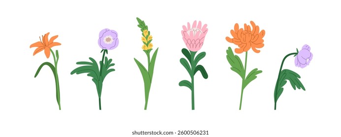 Flower blossoms set. Garden blooming branches, spring floral stems with leaves. Beautiful lily, protea, chrysanthemum, anemone, gladiolus Flat vector illustration isolated on white background