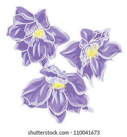 flower blue, isolated on white background