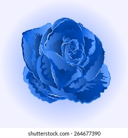 Flower blue rose  simple  symbol  of love vector illustration