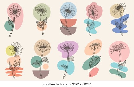 Flower boho aesthetic elements collection vector illustration for your company or brand