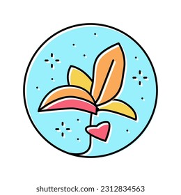 flower boho color icon vector. flower boho sign. isolated symbol illustration