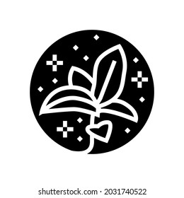 flower boho glyph icon vector. flower boho sign. isolated contour symbol black illustration