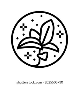 flower boho line icon vector. flower boho sign. isolated contour symbol black illustration