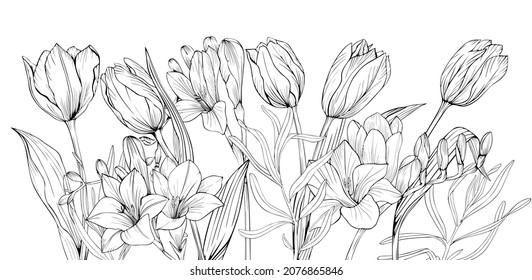 Flower border in black and white for invitations and postcards. Tulips and freesias in vector drawing