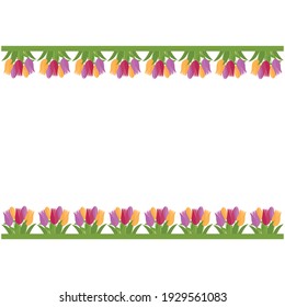 flower border made of tulips, color vector isolated on a white background, decoration of holiday cards and invitations, clipart