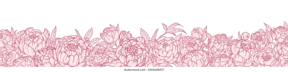 Flower border, peony blooms. Floral garden banner with gorgeous buds. Botanical decorative edge, delicate detailed drawing. Hand-drawn Japanese flora. Horizontal vector illustration isolated on white