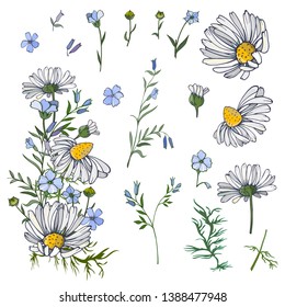 Flower border of wild flowers of chamomile and flax drawn by hand