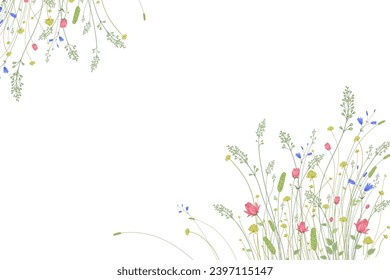 Flower border. Wild flowers and decorative grasses on a white background. Floral pattern. Vector illustration. Template for congratulations, invitations, wedding decor. Vintage