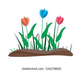 Flower Borders Set. Spring flowers growing in the garden. Flat vector illustration isolate on a white background.