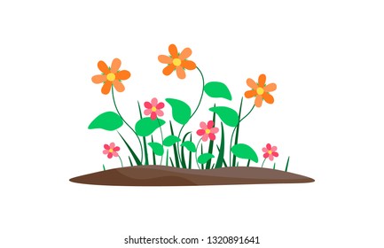 Flower Borders Set. Spring flowers growing in the garden. Flat vector illustration isolate on a white background.