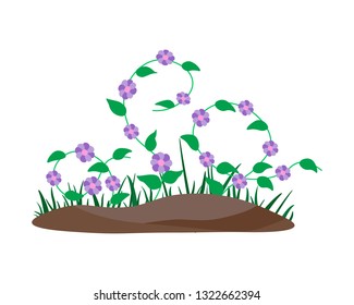 Flower Borders Set. Spring flowers growing in the garden. Flat vector illustration isolate on a white background.