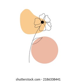 Flower. Botanical, abstract style. Vector graphics