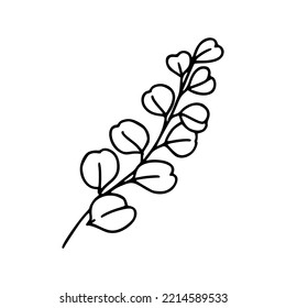 Flower Botanical Floral Detail Outline Illustration 