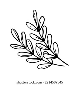 Flower Botanical Floral Detail Outline Illustration 