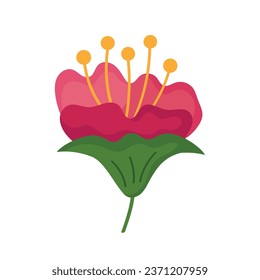 flower botanical illustration isolated design