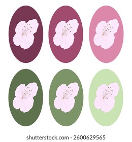 flower botany ornament, romantic, collection, illustration, set, decoration, floral, icon, nature