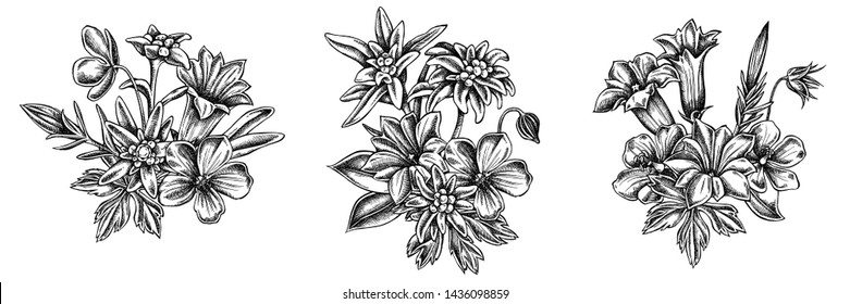 Flower bouquet of black and white edelweiss, meadow geranium, gentiana