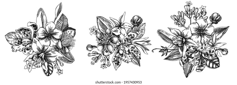 Flower bouquet of black and white laelia, feijoa flowers, glory bush, papilio torquatus, cinchona, cattleya aclandiae