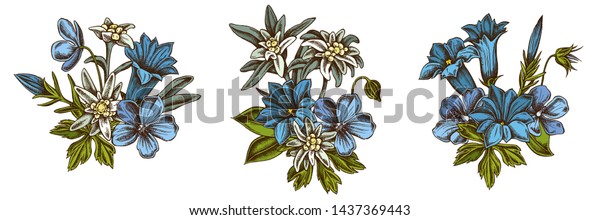 Flower bouquet of colored edelweiss, meadow\
geranium, gentiana