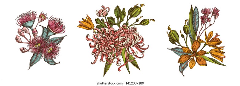 Flower bouquet of colored japanese chrysanthemum, blackberry lily, eucalyptus flower