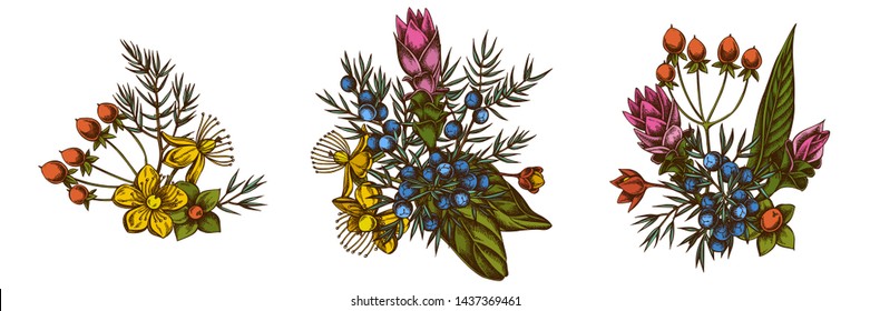 Flower bouquet of colored juniper, hypericum, turmeric