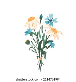 Flower bouquet with cornflower and chamomile vector illustration isolated on white background in modern simple style