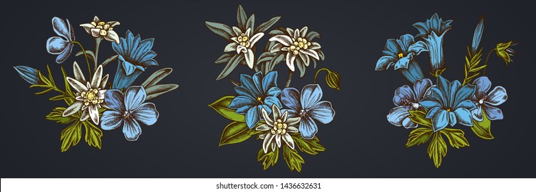 Flower bouquet of edelweiss, meadow geranium, gentiana