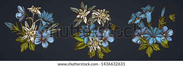 Flower\
bouquet of edelweiss, meadow geranium,\
gentiana
