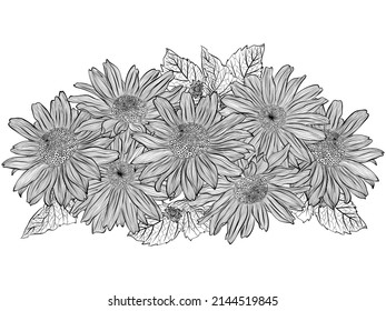 Flower bouquet with heliopsis. Flower composition for decoration of invitations for a wedding, birthday, holiday. Design for coloring book. Vintage hand draw sketch illustration isolated on white