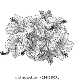 Flower bouquet with hibiscus. Flower composition for decoration of invitations for a wedding, birthday, holiday. Design for coloring book. Vintage hand draw sketch illustration isolated on white