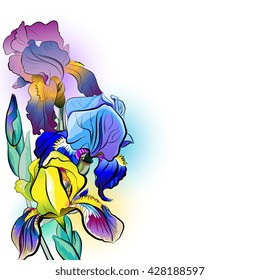 Flower bouquet of irises