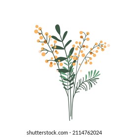 Flower bouquet mimosa and twigs vector illustration isolated on white background in modern simple style