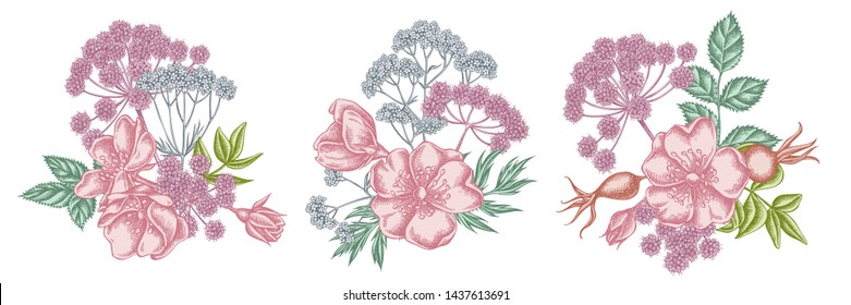 Flower bouquet of pastel dog rose, valerian, angelica