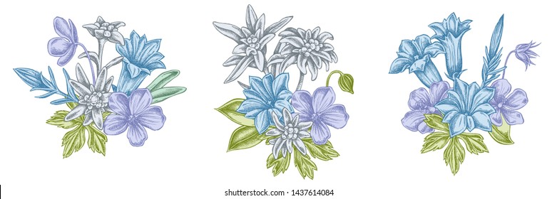 Flower bouquet of pastel edelweiss, meadow geranium, gentiana
