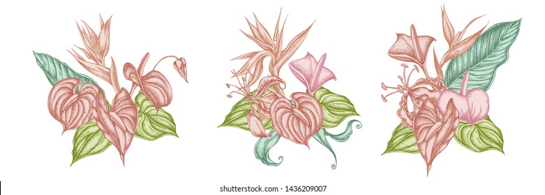 Flower bouquet of pastel gloriosa, anthurium, strelitzia